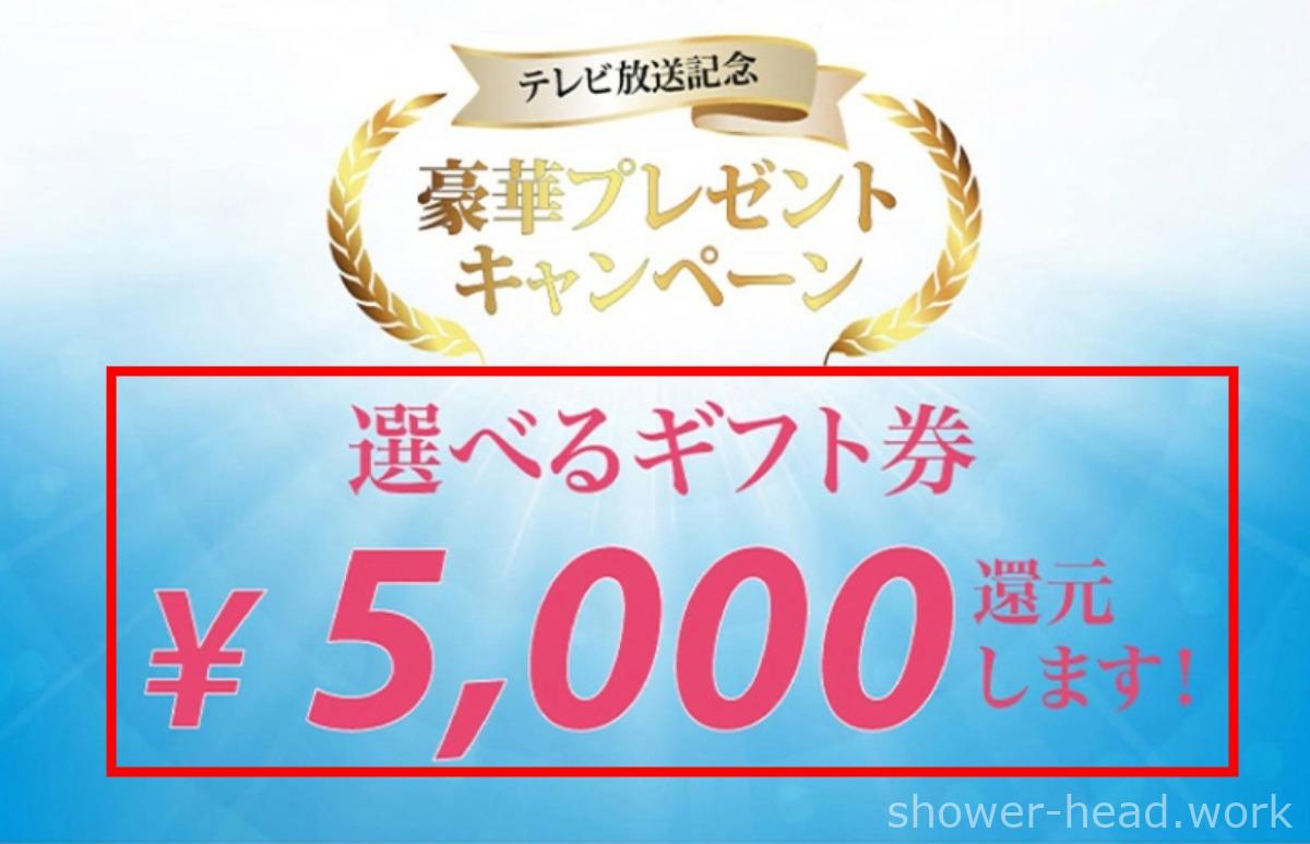 ミラブル5000円ギフト券プレゼント